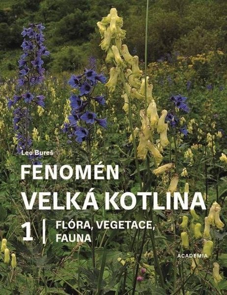 Fenomén Velká kotlina 1 - Flóra