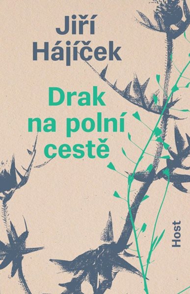Drak na polní cestě - Hájíček Jiří