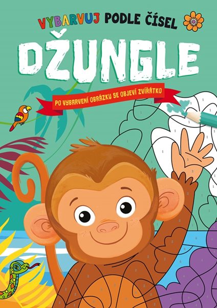 Džungle / Vybarvuj podle čísel - Hannah Campling - A4