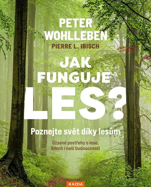 Jak funguje les? Poznejte svět díky lesům - Úžasné postřehy o lese