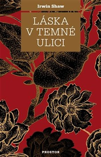 Láska v temné ulici - Shaw Irwin