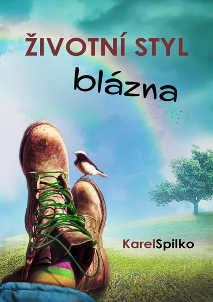 Životní styl blázna - Spilko Karel