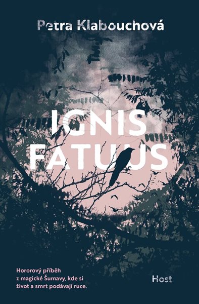 Ignis fatuus - Petra Klabouchová - 14x21 cm