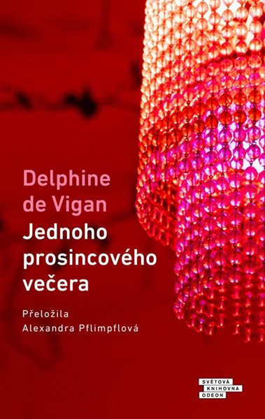Jednoho prosincového večera - de Vigan Delphine