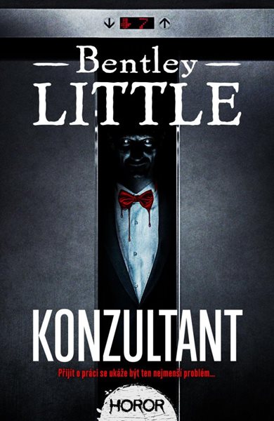 Konzultant - Little Bentley