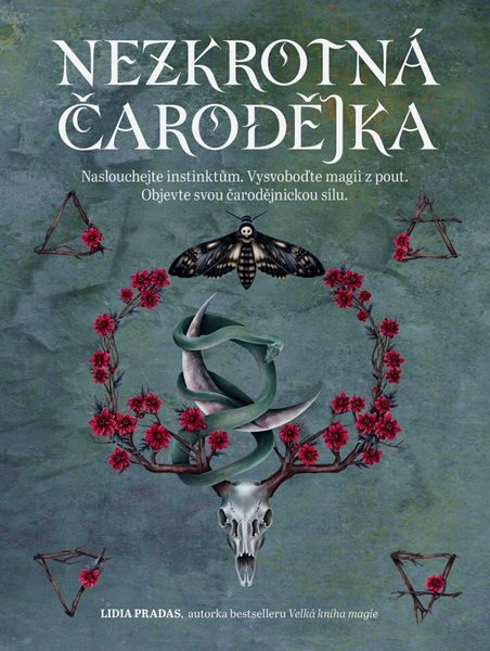 Nezkrotná čarodějka - Pradas Lidia