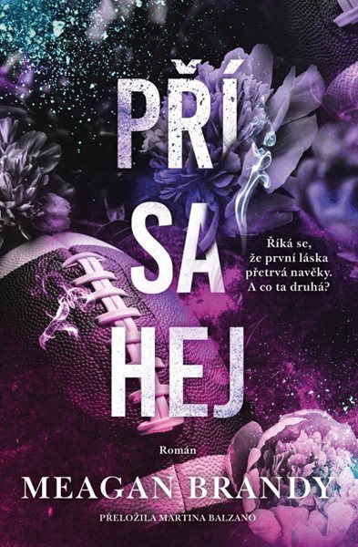 Přísahej - Brandy Meagan