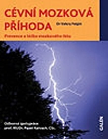 Cévní mozková příhoda - Feigin Valery