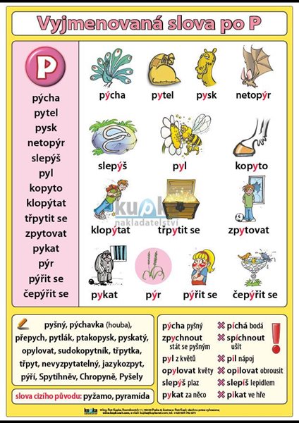 Vyjmenovaná slova po P A4 (30x21 cm) - A4