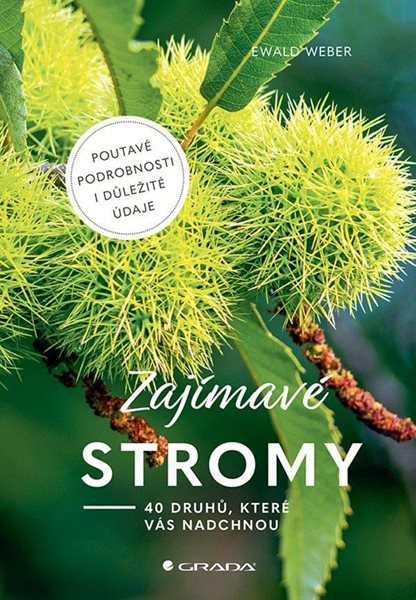 Zajímavé stromy - 40 druhů