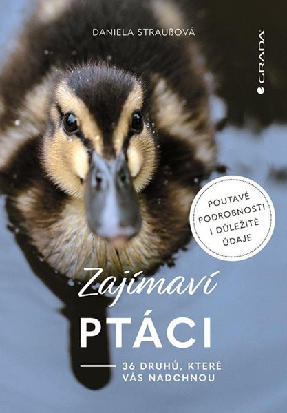 Zajímaví ptáci - 36 druhů