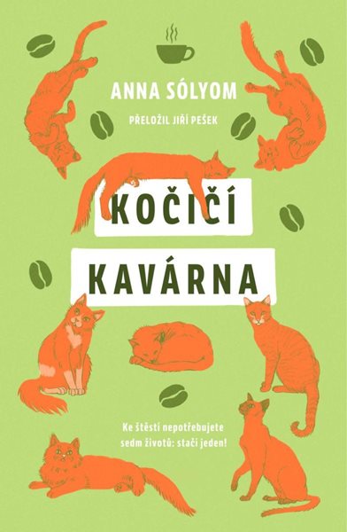 Kočičí kavárna - Sólyom Anna