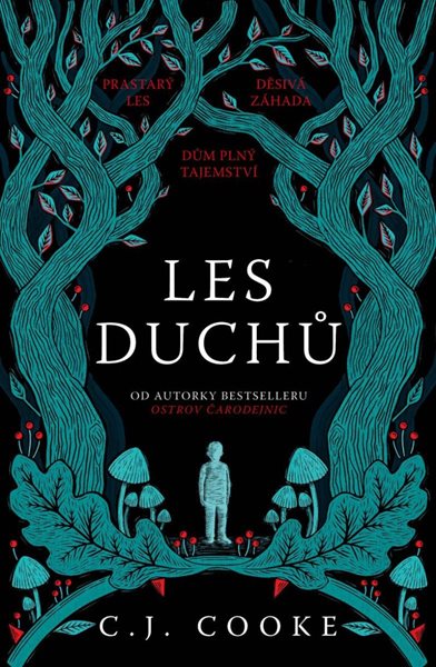 Les duchů - Cooke C. J.